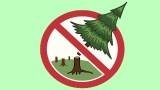 «Месячника по охране лесов от незаконных рубок»