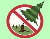«Месячник по охране лесов от незаконных рубок»